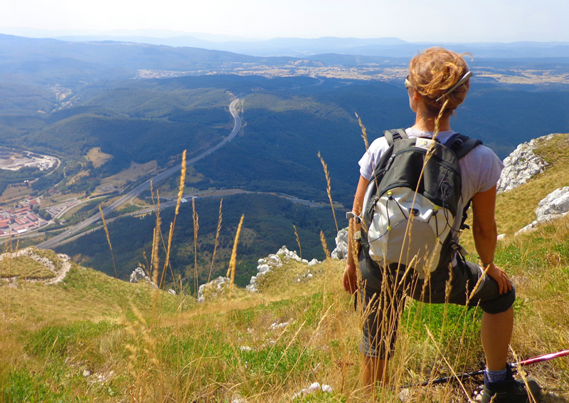 Natural Health Sciences of Arizona Wellness natural-health-sciences-arizona-lean-towards-wellness