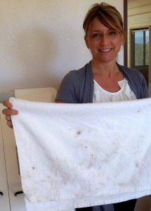 Ozone Sauna natural-health-sciences-of-arizona-ozone-sauna